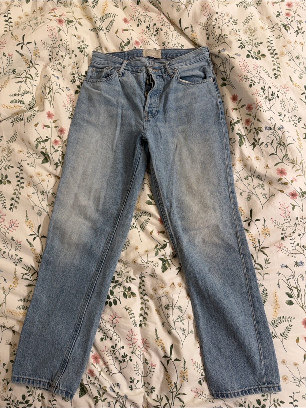 Everlane 90s cheeky Jean size 27 Pale Blue Straight-Leg Jeans crop